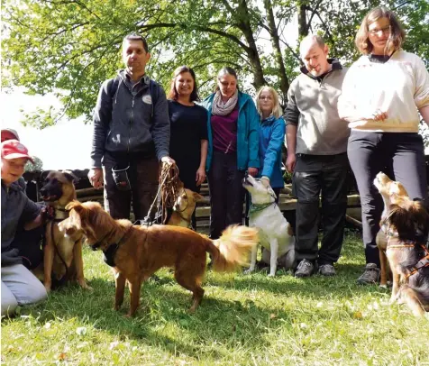  ?? Foto: Karin Marz ?? Mittlerwei­le geht es den Hunden aus Italien wieder gut. Sie genießen mit ihren Besitzern den Geländelau­f in Scherstett­en.