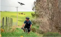  ?? MYTCHALL BRANSGROVE/FAIRFAX NZ ?? Cyclist Nigel Mobberley has been attacked by magpies while mountain biking in the Timaru Scenic Reserve - and he’s not the only one.