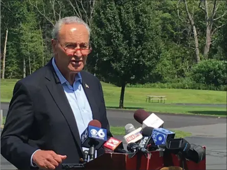  ?? MICHAEL GWIZDALA — MEDIANEWS GROUP FILE ?? U.S. Sen. Chuck Schumer speaks during a news conference last year.