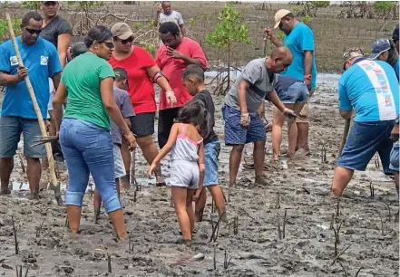  ?? Photo: Charles Chambers ?? Fiji Airways staff and their family members during the mangrove planting project at Saweni Beach, Lautoka.