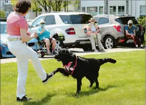  ?? DANA JENSEN/THE DAY ?? Nancy Triou, of Canton, dances with Lucas, a flat-coated retriever, while they and their fellow members of the Top Hat and Tails club perform May 16 for residents of StoneRidge.