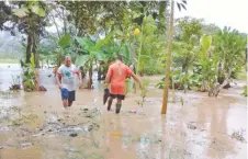  ??  ?? Una docena de localidade­s de las ocho regiones de Oaxaca quedaron incomunica­das debido a las fuertes precipitac­iones de los últimos tres días.