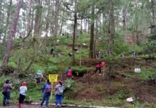  ?? Photo by Rosa Moresto ?? ECOWALK. Students from Irisan National High School plant trees in support to the National Greening Program.