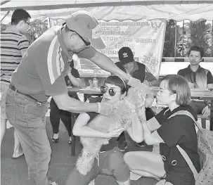  ??  ?? PERCUMA: Pemilik anjing membawa haiwan peliharaan mereka untuk mendapatka­n suntikan vaksin anti-rabies ketika program semalam.