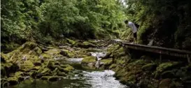  ?? ARKIVFOTO: TOR HØVIK ?? STORELVA: Slik så det ut i Storelva i Arna tidligere i sommer. Nå har vannstande­n økt.