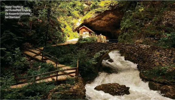  ??  ?? Steter Tropfen in der Dunkelheit: Eingang zur Koppenbrül­lerhöhle bei Obertraun