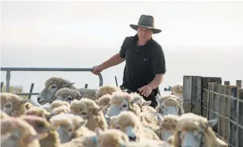  ?? ?? Federated Farmers national meat and wool chairman Toby Williams believes wool needs to be marketed to a generation “who are anti-plastic, anti-petroleum and anti-synthetics”.