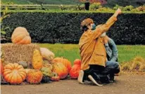  ?? VICTOR LLORENTE/THE NEW YORK TIMES ?? Visitors take a selfie at the Great Pumpkin Path at the New York Botanical Gardens in New York on Oct. 21, 2020.