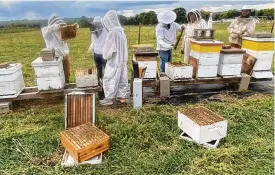  ?? CONTRIBUTE­D ?? Shown here is a class led by Larry Johnson, a Somerville beekeeper who has classes on safety, comfort in handling bees, swarm collection and more.