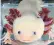  ??  ?? The axolotl, also known as the Mexican salamander, can regenerate limbs and even spinal cord if it has been injured