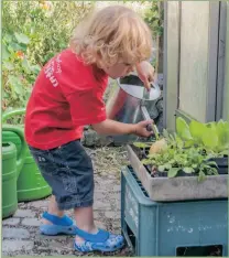  ??  ?? Save water and space by hydroponic or soil-less gardening.