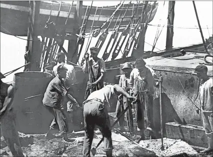  ?? MYSTIC SEAPORT MUSEUM ?? Photograph by Robert Cushman Murphy while on brig Daisy circa 1913; group of men cutting up the blubber.