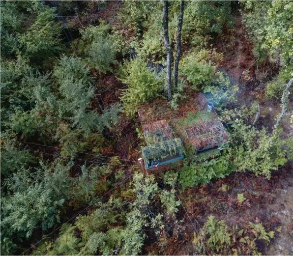  ??  ?? Vu du ciel, on perçoit l’efficacité du camouflage végétal qui protège la palombière de la vue des ramiers.