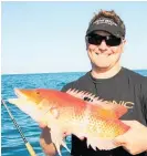  ?? Picture / Geoff Thomas ?? Matt Lind caught his red pigfish while snapper fishing off Houhora.