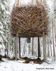  ??  ?? Treehotel, Bird Nest