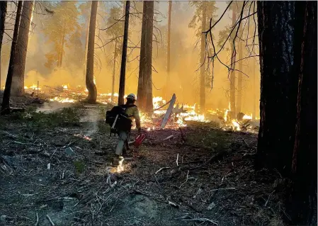  ?? NATIONAL PARK SERVICE VIA GETTY IMAGES ?? Firefighte­rs conduct early morning backfiring operations near the South Entrance on Monday in Yosemite National Park. According to reports, the Washburn fire was first reported on June 7and grew over the weekend, threatenin­g the Mariposa Grove of giant sequoias.