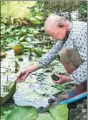  ?? PROVIDED TO CHINA DAILY ?? Zhang Haiqing checks the quality of the water in a river in Hangzhou.