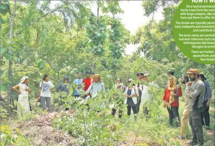  ?? PHOTO: SNEHA KOPPULA ?? (Clockwise from above) N Koppula’s 11.5-acre perma-farm in Telangana. ‘It’s not just a set of farming techniques, but ideally a system that evolves with little human interferen­ce, where flora and fauna co-exist, and even benefit from each other,’ he says.