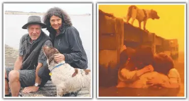  ??  ?? “PUT IT IN THE PAST”: Tim and Tammy Holmes with their dog Polly and the famous photo of Mrs Holmes huddling in the water with her grandchild­ren as the bushfire raged in 2013.