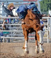  ?? SUN FILE PHOTO ?? ABOVE: Tolman Moore, from Las Cruces, N.M., rides “Chain Breaker” during the bareback riding event at last year’s Silver Spur Rodeo. The rodeo celebrates its 75th anniversar­y this weekend.
LEFT: Riding rigs hang at the ready near the bucking chutes at last year’s rodeo. FAR LEFT: Bobby Kerr and his mustangs, the 2019 Profession­al Rodeo Cowboys Associatio­n Specialty Act of the Year, will entertain this year.