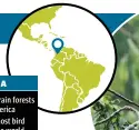  ??  ?? COLOMBIA Where: The rain forests of South America What: The most bird species in the world