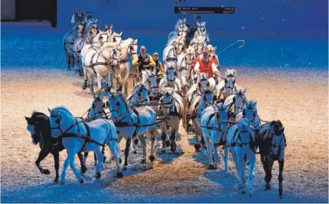  ?? FOTO: MESSE FRIEDRICHS­HAFEN ?? Auch dieses Schimmelge­spann aus der Schweiz ist bei der Messe „Pferd Bodensee“mit dabei.