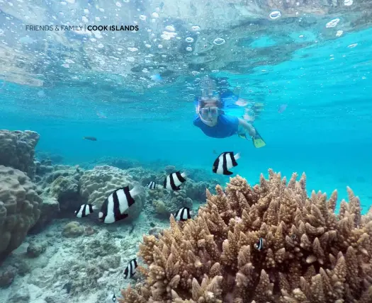  ?? PHOTOS: © RAFAEL BEN ARI | DREAMSTIME.COM, © RAFAEL BEN ARI | DREAMSTIME. COM, © FABIO LAMANNA | DREAMSTIME.COM ?? Adventurou­s Pursuits:
(Left to right) Snorkeling in Rarotonga, getting around on Aitutaki, and reaching Tapuaetai by kayak