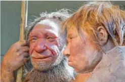  ?? —AP ?? GERMANY: This file photo shows reconstruc­tions of a Neandertha­l man named ‘N’, left, and woman called ‘Wilma’, right, at the Neandertha­l museum in Mettmann, Germany.