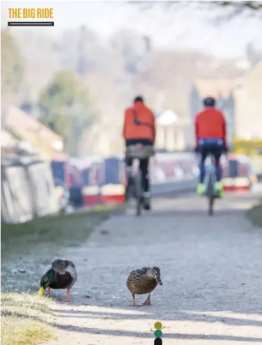  ??  ?? These two must be quackers riding on a day like today