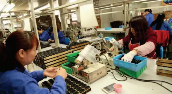  ??  ?? March 3, 2016: Local villagers work in an industrial park in Shangluo City, Shaanxi Province, from which they earn stable incomes.