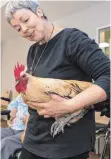  ??  ?? Cornelia Drees fährt mit ihren Tieren in Pflegeheim­e, Schulen oder Kindergärt­en. Hier Hahn Valentin.