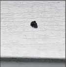  ??  ?? At left and inset, a bullet hole is visible in the siding of a third Avenue house where a 3-yearold boy was shot in the arm last summer by a stray bullet.