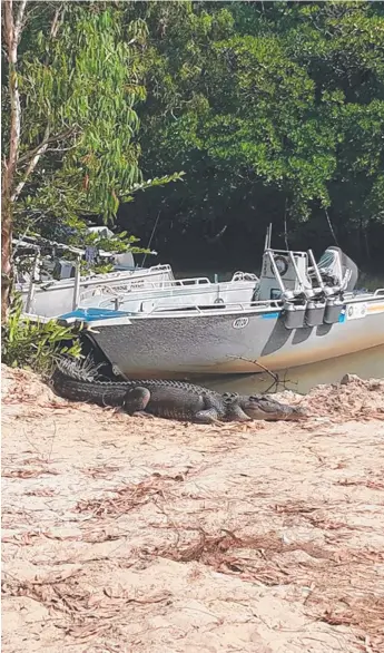  ?? Picture: WARREN SMITH ?? Territory fishing guide Warren Smith snapped this monster near his boat.