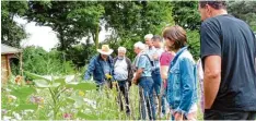  ??  ?? Gerne erklärte Antonia Peters (Bild oben links, links) den Besuchern ihren Garten. Im Schulgarte­n gab es eine Tanzvorfüh­rung mit selbst ausgedacht­en Bewegungen zum Lied „Feuerwerk“(Bild oben rechts). Blick auf die Sommerbeet­e am Hang zur Rutsche (Bild...