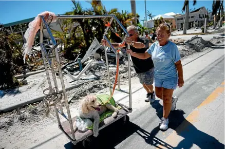  ?? AP ?? Debbie and Lou Evans push their dog Brody on a hotel luggage cart they found amidst the wreckage as they arrive back in Fort Myers Beach, Florida yesterday to check on their home after Hurricane Ian swept across the state, leaving at least 27 people dead, before moving north to batter the Carolinas.