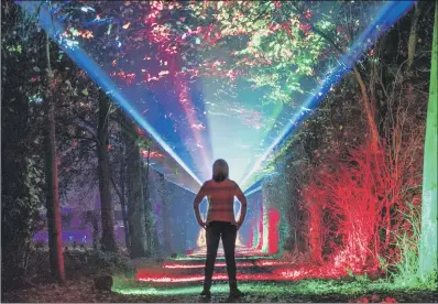  ?? PICTURES: JANE BARLOW/ PA ?? LIGHTS FANTASTIC: A visitor at Hopetoun House, South Queensferr­y, during a preview of the Wondrous Woods light trail.