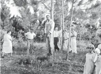  ?? NEW YORK PUBLIC LIBRARY ?? People gawk at the dead body of Rubin Stacy hanging from a pine tree in Fort Lauderdale on July 19, 1935.