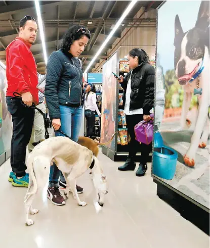  ?? JESÚS QUINTANAR. ?? Hacer citas en línea es una de las funciones con las que contará.