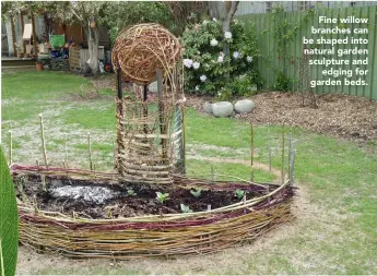  ??  ?? Fine willow branches can be shaped into natural garden sculpture and edging for garden beds.