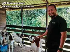  ?? ?? BERSAMA sebahagian daripada kambing ternakanny­a.