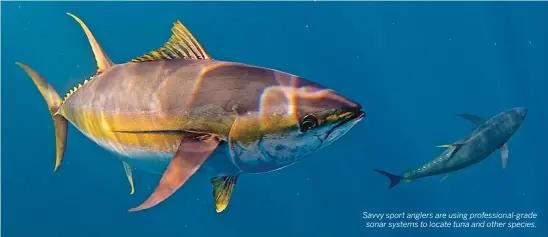  ??  ?? Savvy sport anglers are using profession­al-grade sonar systems to locate tuna and other species.