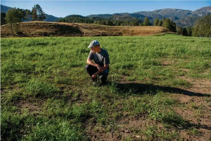  ?? JAN INGE HAGA ?? Ole Martin Eikeland, bonde i Suldal, viser fram de knusktørre jordene sine. Mangelen på fôr vil få konsekvens­er for matproduks­jonen utover vinteren.