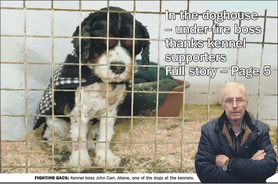In the doghouse under fire boss thanks kennel supporters Full