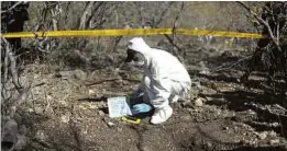  ??  ?? Ein Ermittler untersucht ein Grab: 2018 wurden in Mexiko laut offizielle­n Angaben rund 33 300 Menschen umgebracht.