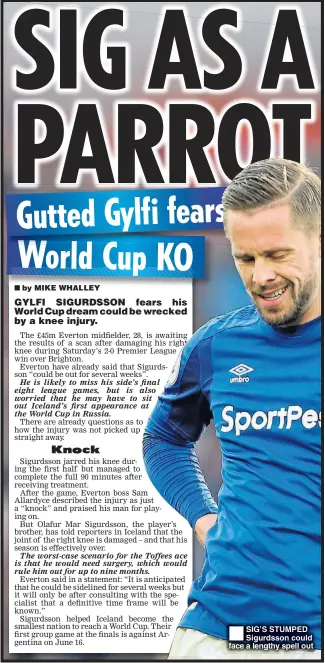  ??  ?? SIG’S STUMPED Sigurdsson could face a lengthy spell out