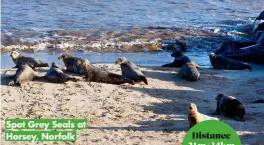  ?? ?? Spot Grey Seals at Horsey, Norfolk
Distance 21m/34km Walk time
2 days
