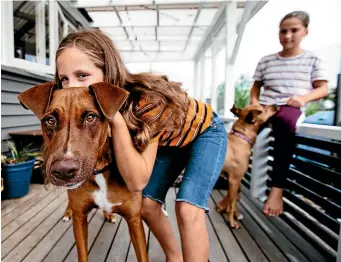  ?? ABIGAIL DOUGHERTY/STUFF ?? Lexi Tuck, 9, plays with Spencer while her sister Ava, 11, looks on.