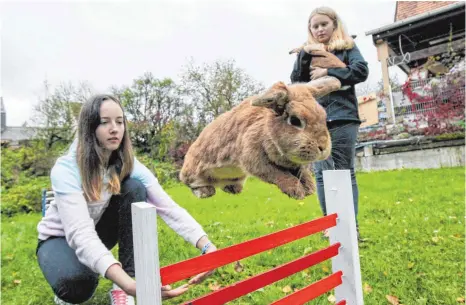  ?? FOTO: THOMAS SIEDLER ?? Die 14-jährige Megan Lange (links) liebt Kaninhop ebenso wie Sunflower. Der Deutschen Meisterin ist keine Hürde zu hoch. Noch besessener aufs Springen ist Sunflowers Tochter Palatinas Air, die die 14-jährige Anna-Maria Müller auf dem Arm hält.