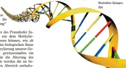  ?? Illustrati­on: Quiagen, dpa ?? Im Lauf des Lebens sammeln sich an bestimmten Stellen der DNA kleine Molekülbau­steine. Sie verändern unser Erbgut nachhaltig – auf positive wie auch auf negative Weise.