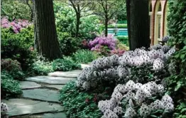  ?? PHOTOS BY KETTELKAMP LANDSCAPE, TNS ?? A shade garden lends itself to layering: in gardens designed by Ryan and Claire Kettelkamp, ground covers create a base, shrubs act as a mid-level and mature trees arch above.